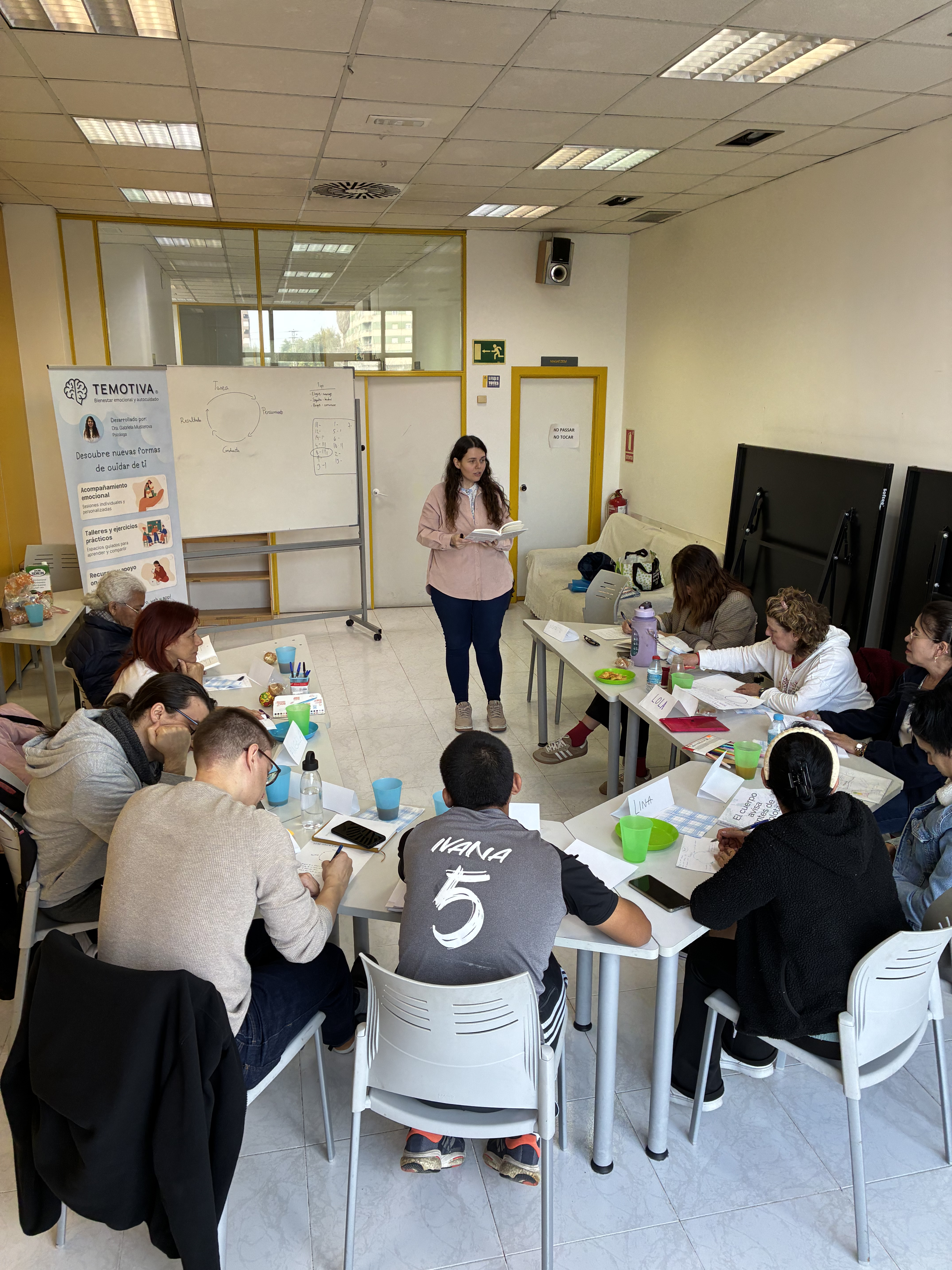 Preview of Temotiva® emotional wellbeing workshops